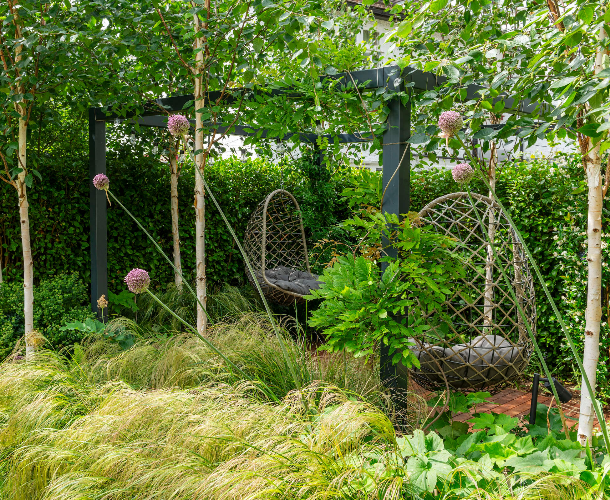Silver Birch trees envelope the rear pergola to create a seating spot in dappled, shade .